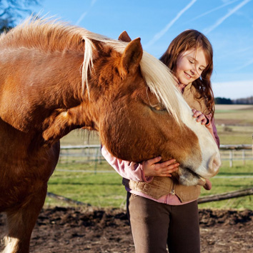 MIT DEM PFERD LEBEN…